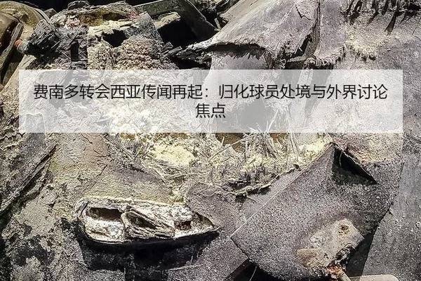 fei-nan-duo-zhuan-hui-xi-ya-chuan-wen-zai-qi-gui-hua-qiu-yuan-chu-jing-yu-wai-jie-tao-lun-jiao-dian-2-793.jpg